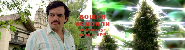 экстази Бородино