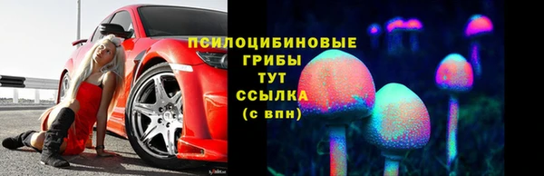 МДПВ Бронницы