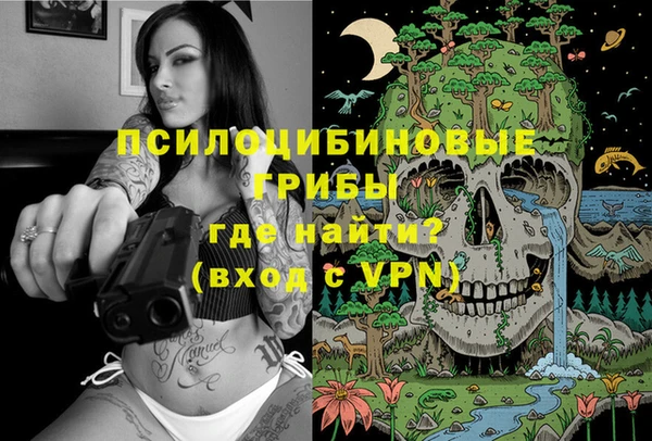 экстази Бородино
