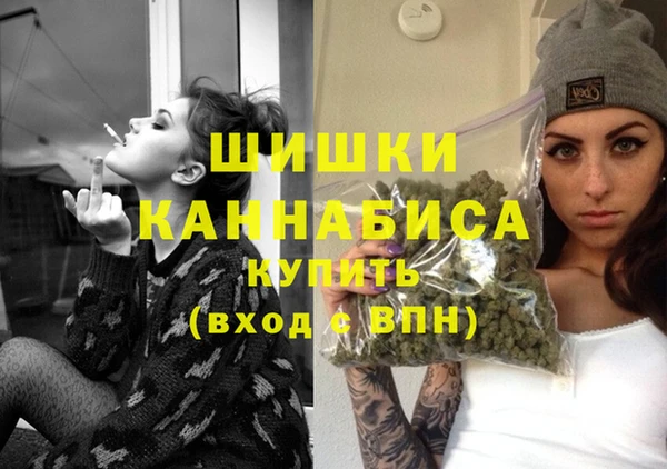 МДПВ Бронницы