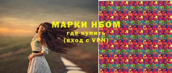 экстази Бородино
