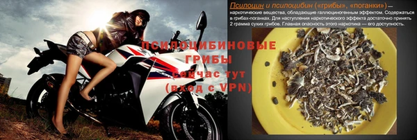экстази Бородино