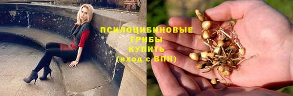 МДПВ Бронницы